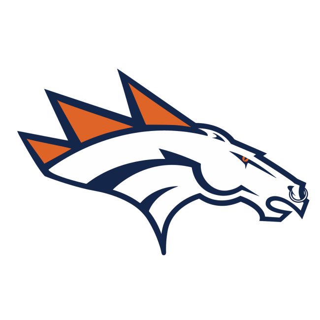 Denver Broncos Heavy Metal Logo iron on transfers
